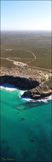 Whales - Head of Bight - SA V (PBH3 00 28950)